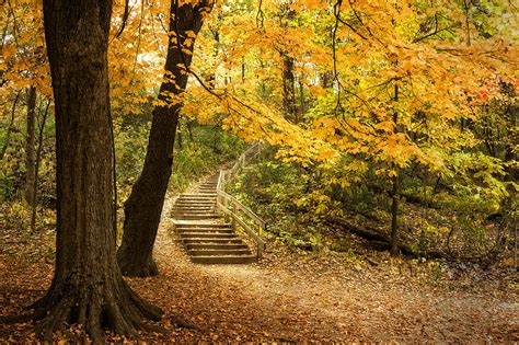Autumn Stairs Photograph By Scott Norris Fine Art America
