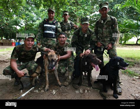 Colombian Marines Pose With Their Narcotic And Explosive Identifying