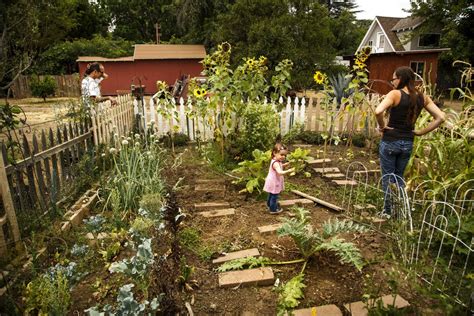 More city dwellers are embracing 'hobby farms': 'It's like we live in