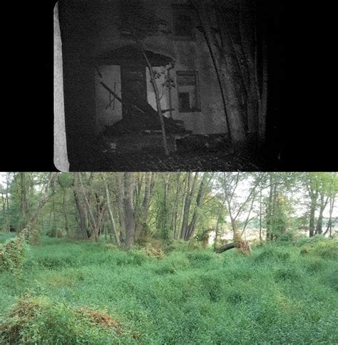 Then Now Movie Locations The Blair Witch Project