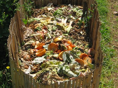 Para saber cómo fabricar compost en casa, la asociación ecologista amigos de la tierra, pioneros en el desarrollo de proyectos de compostaje doméstico desde 1999, nos dan las claves del proceso: Boost Your Home Garden: Fertilizers and Compost