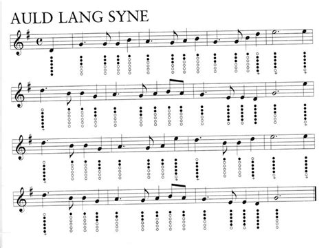 Auld Lang Syne Tin Whistle Whistle Native American Flute