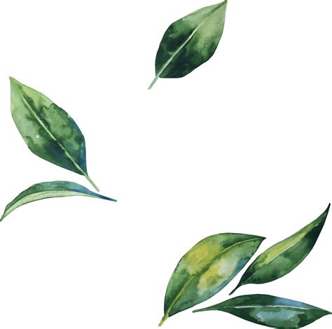 Leafs Png Transparent Green Banana Leaves Png And Clipart Ilustrasi