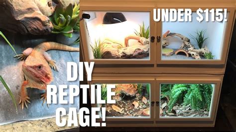 Uromastyx habitat 1 by andymahnfl411. How To Build Your Own Reptile Enclosure! | Perfect for ...