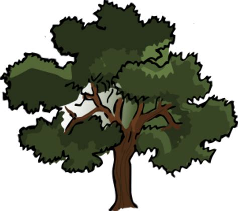 Download High Quality Tree Clipart Realistic Transparent Png Images