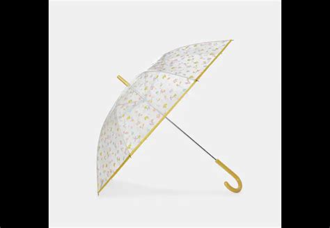 Coach Clear Bubble Umbrella In Mystical Floral Print