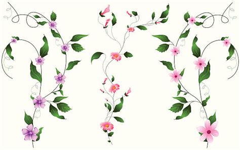 Flower Vine Illustrations Royalty Free Vector Graphics And Clip Art Istock