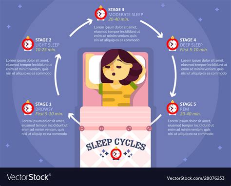 Different Stages Of Sleep Cycle