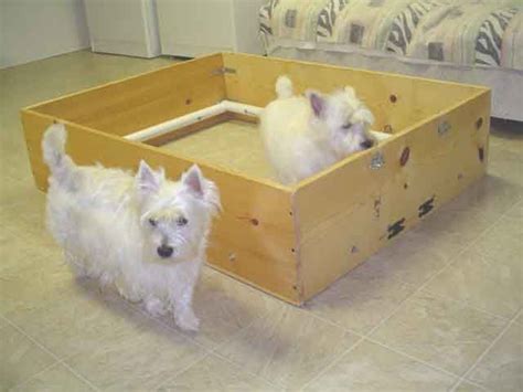 Shop now pet heat pad puppy, cats, dogs many sizes for all types of pets. whelping box | Whelping box, Pregnant dog, Whelping puppies