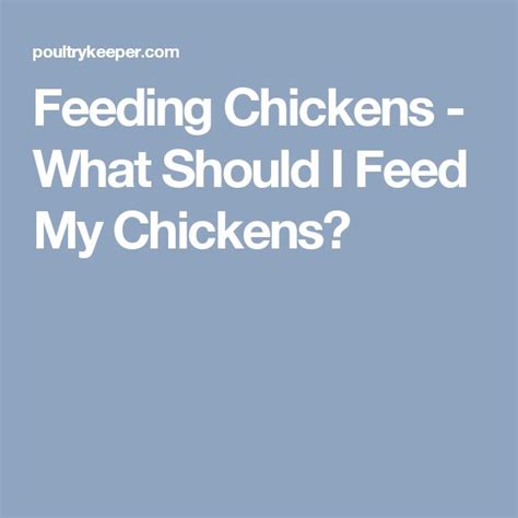 Feeding Chickens What Should I Feed My Chickens Chicken Feed
