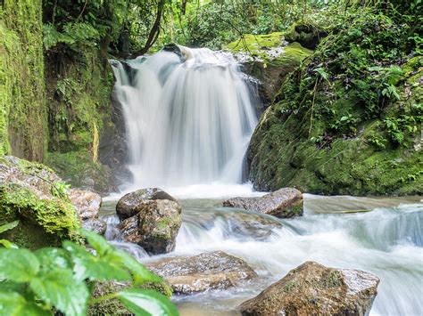 Waterfall In The Ecuadorian Jungle Photograph By Ashton Macintyre