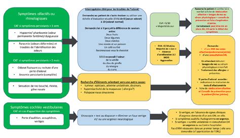 Les Troubles Du Goût Et De Lodorat Au Cours Des Symptômes Prolongés De