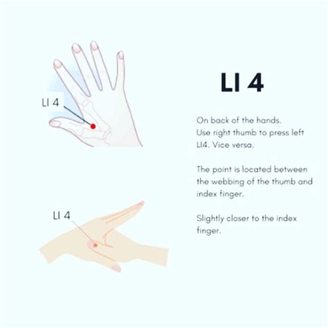 Acupuncture Point Of The Day Large Intestine 4 Li4 This Is A Regularly Used Point In Our