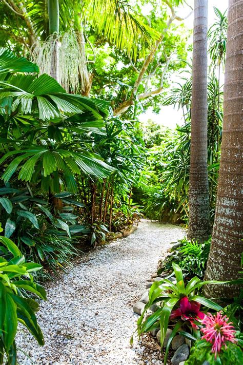42 Amazing Diy Garden Path And Walkways Ideas Gowritter Tropical