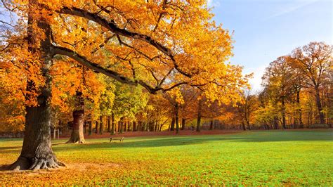 Natur Landschaft Herbst Park Bäume Gras Sonne 2560x1600 Hd