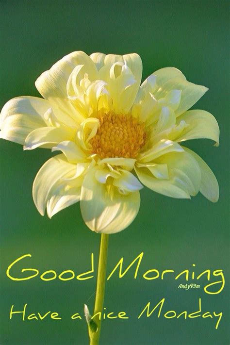 Good Morning Monday Monday Morning Messages Quotes Images Vectors