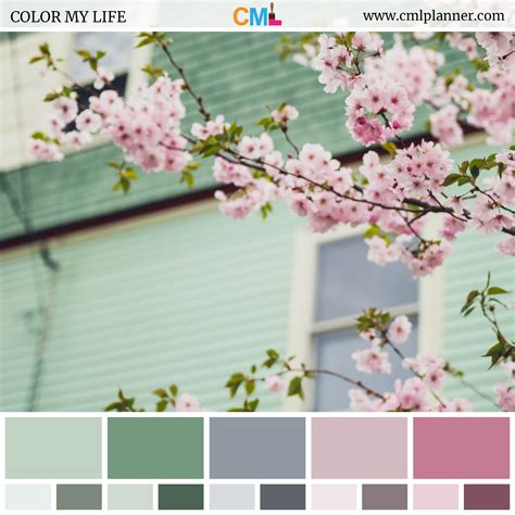 Color Palette #081518 - Color My Life | Sage color palette, Color palette pink, Spring color palette