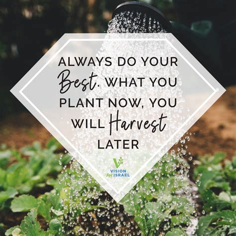 Always Do Your Best What You Plant Now You Will Harvest Later How