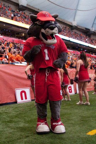 Stony Brook University Mascot Wolfie The Seawolf Stony Brook