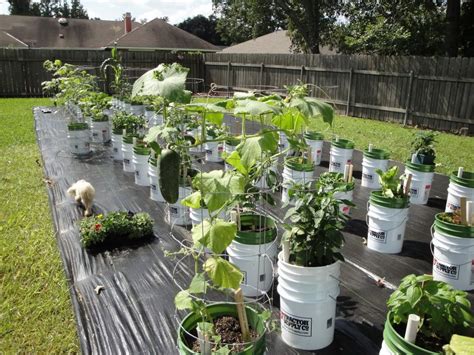 Incredible Container Vegetable Gardening Plans 2022 Atelieartemae