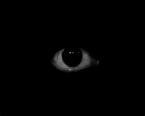 An Animals Eye Is Shown In The Dark