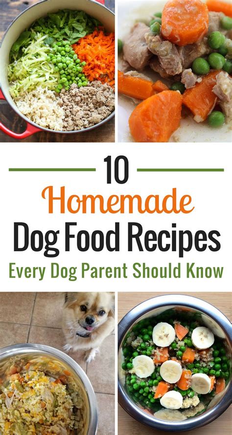 10 Homemade Dog Food Recipes Every Dog Parent Should Know My Dogs