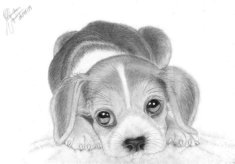 Watch Me Realistic Easy Cute Dog Drawing Draw A Cute Dog
