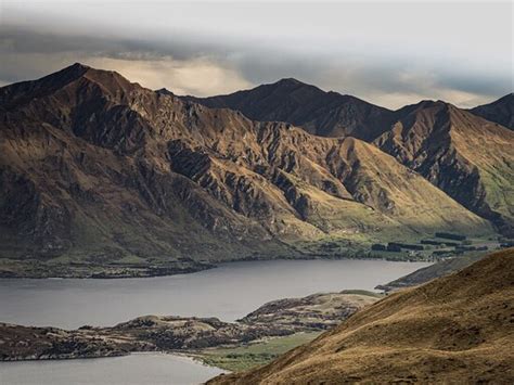 Ridgeline Wanaka All You Need To Know Before You Go