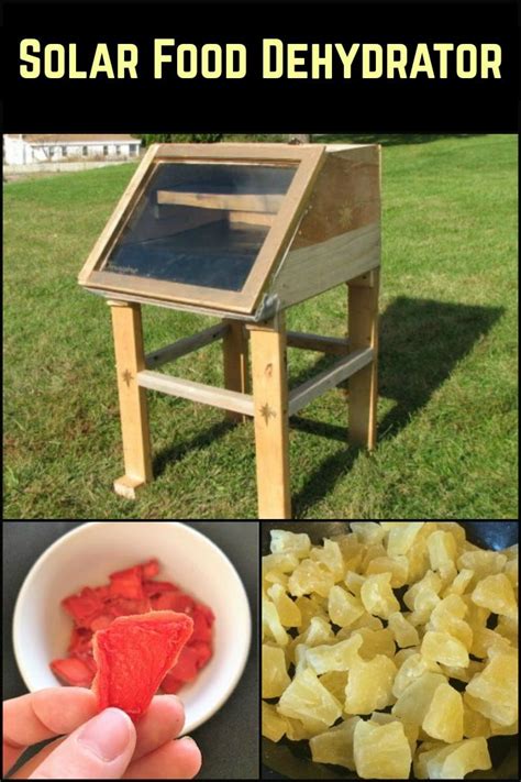 How To Build A Solar Food Dehydrator The Owner Builder Network Dehydrator Recipes
