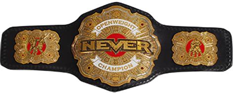 Never Openweight Championship Pro Wrestling Fandom Powered By Wikia