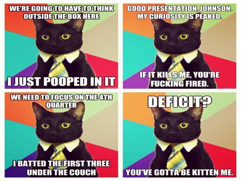 1920x1440 Px 38 Cat Funny Grumpy Humor Meme Quote High