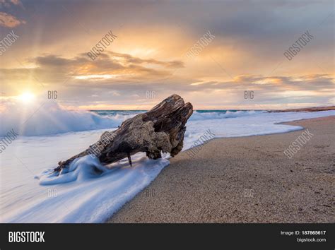 Wooden Log Sunset Image And Photo Free Trial Bigstock