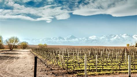 Why Visit Mendoza Faq Argentine Winelands Andbeyond