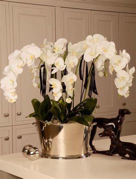 Best Large Fake Orchid Arrangements Delphinium Flowers