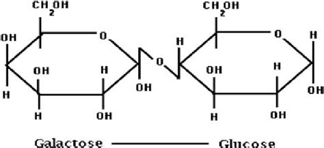 Chemical Structure Of Lactose Download Scientific Diagram