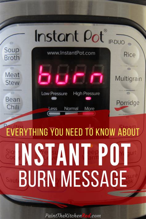 Is it something i have done, has the instant pot broken down…or is my food burning inside? Instant Pot Burn Error - Paint The Kitchen Red