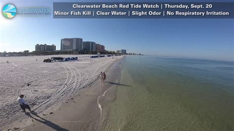 Download clearwater red tide update. Clearwater Beach Red Tide Watch 9-20-2018 - YouTube