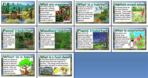 Ks2 Science Teaching Resource Different Habitats Printable Posters For