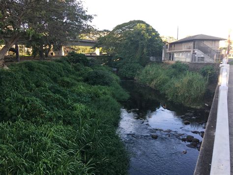 1950 Kapiolani Blvd Bridge Over Manoa Palolo Stream