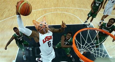 Cat Olympics Team Usa Basketball Basketball Basketball Photos
