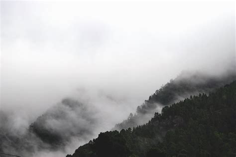 Free Stock Photo Of Black And White Fog Foggy