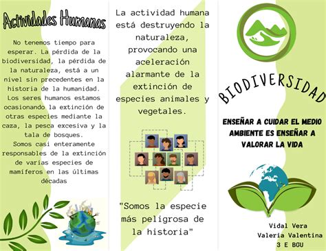 Biodiversidad Tr Ptico Plantilla De Tr Ptico Ejemplos De Folletos