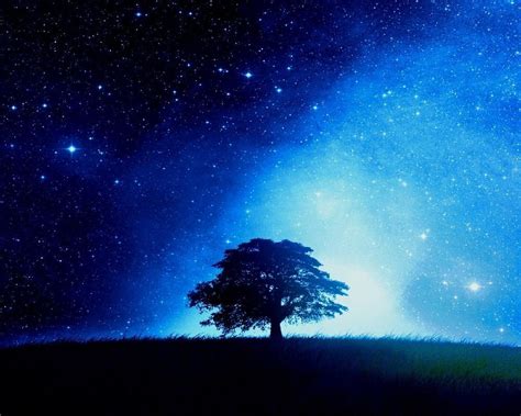 Galaxy Tree Wallpapers On Wallpaperdog