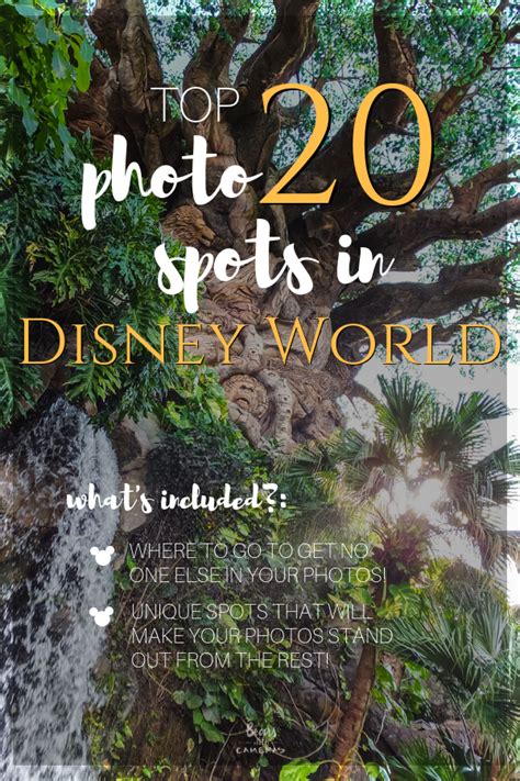 Disney World Vacation Planning Disney World Parks Disney Vacations