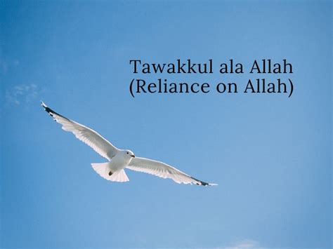 Tawakkul Ala Allah Reliance On Allah ~ Authentic Islamic Knowledge