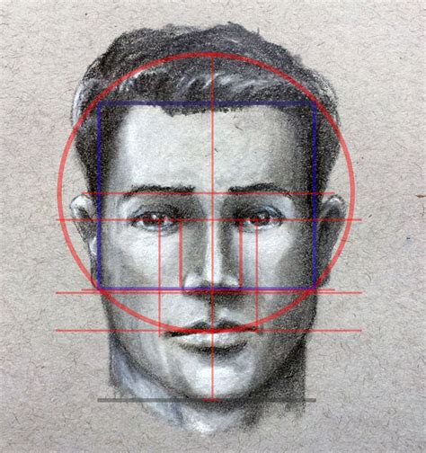 Human Face Parts Sketch Basic Proportions Of The Face Youtube
