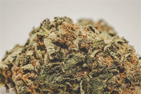 These Are The Best Weed Strains In The World Herb Herb