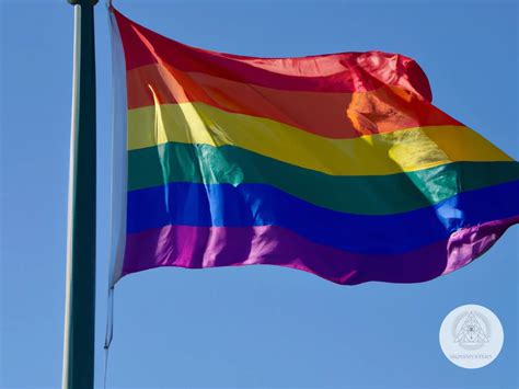 the representation of the rainbow flag in lgbtq protests signsmystery