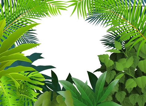 Jungle Leaf Png Plants Tropical Jungle Leaves Border Frame Ftestickers