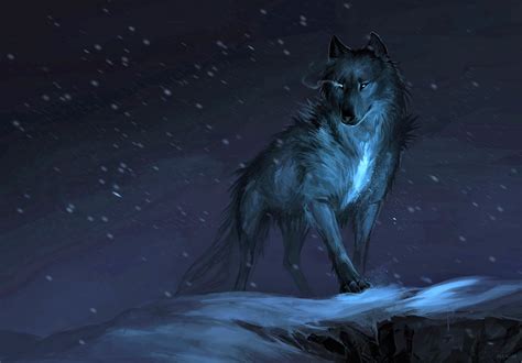 Wolf In Winter By Allagar
